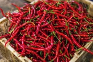 Are Chillies Low FODMAP