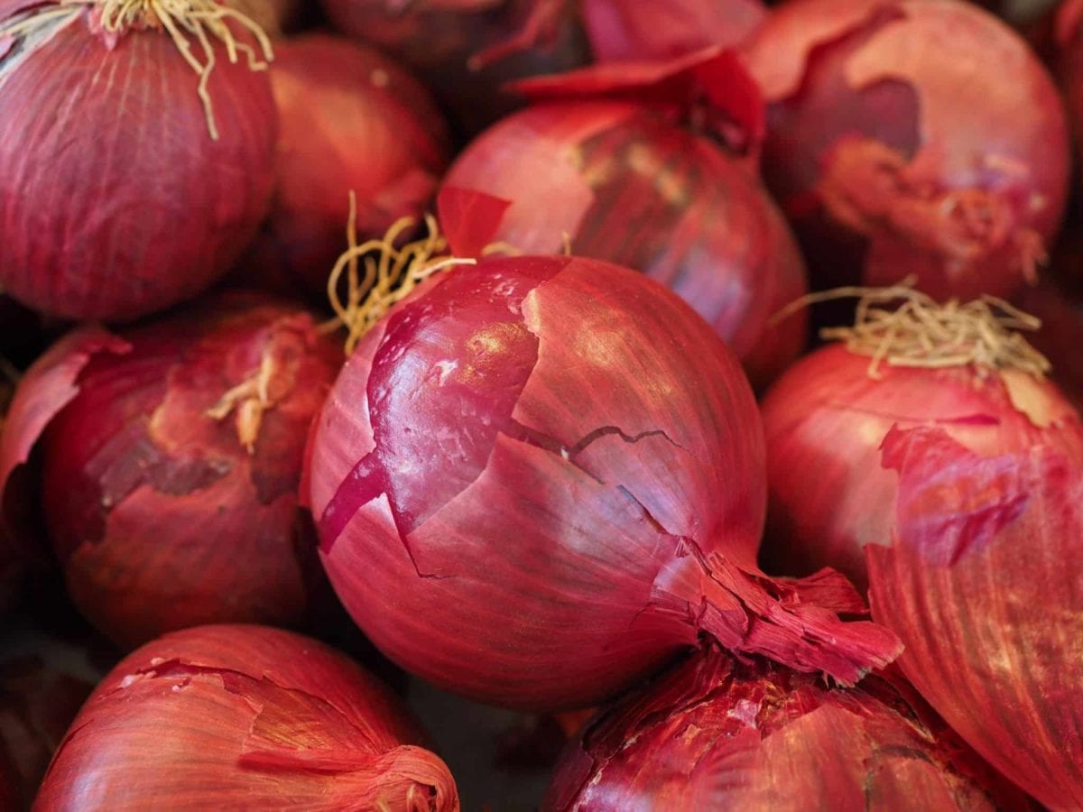 Are Onions Low FODMAP