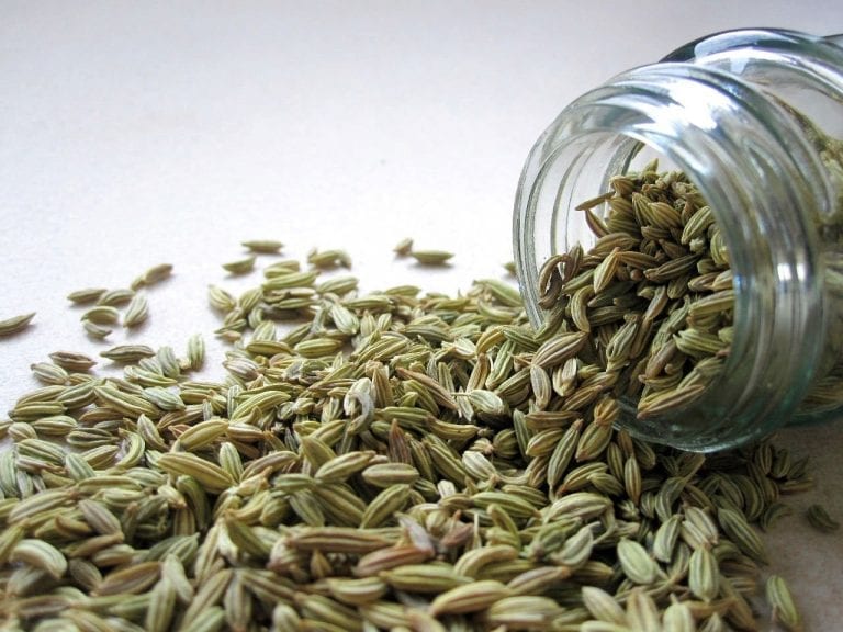 Are Fennel Seeds Low FODMAP