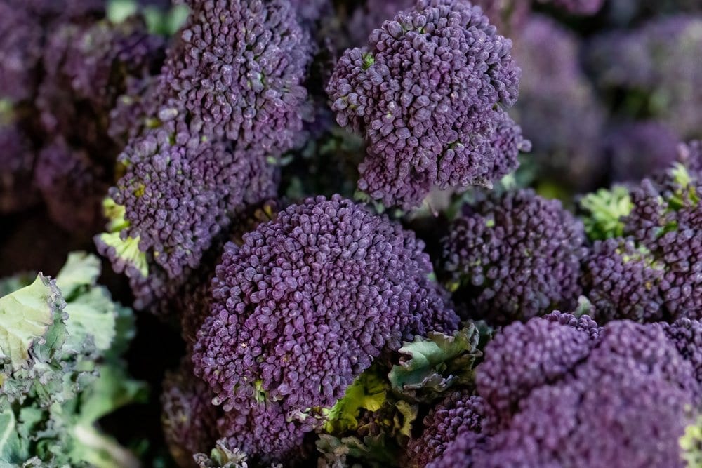 Is Purple Sprouting Broccoli Low FODMAP