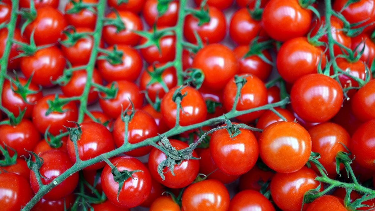 Are Cherry Tomatoes Low FODMAP