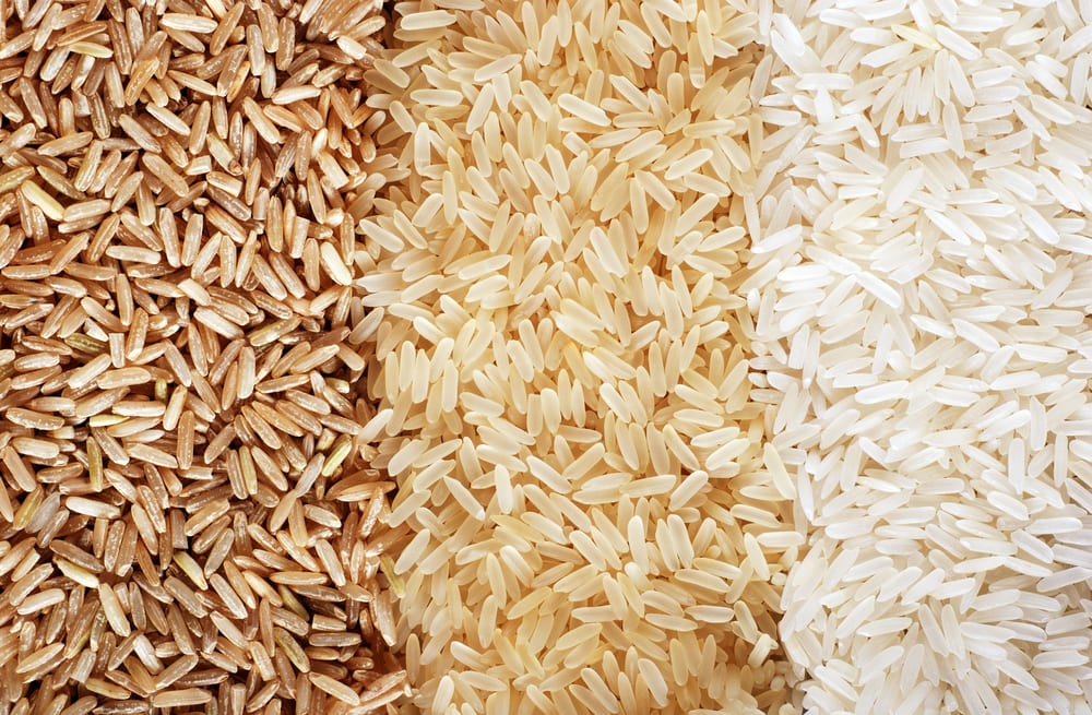 Types of Rice FODMAP