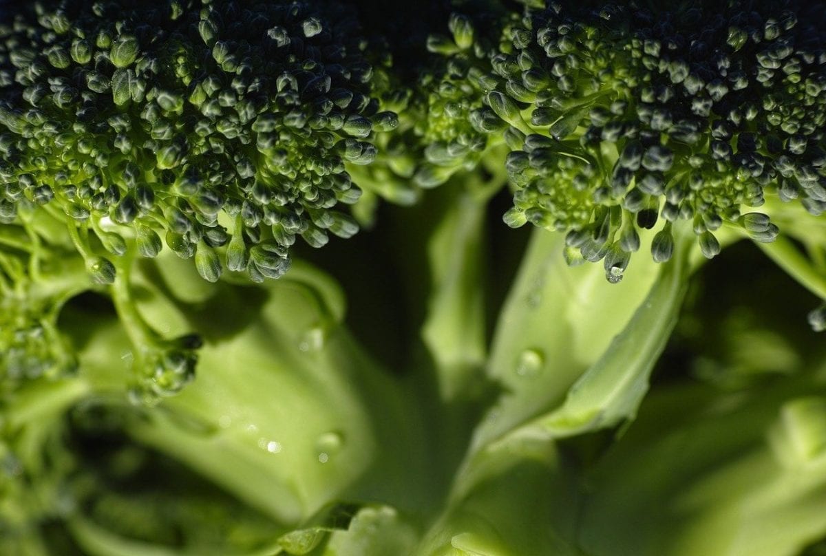 Broccoli FODMAP