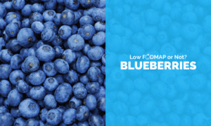 Are Blueberries Low FODMAP