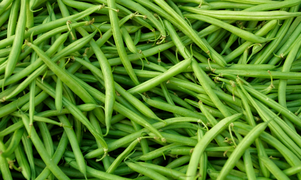 Are Green Beans Low FODMAP