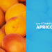 Are Apricots Low FODMAP?